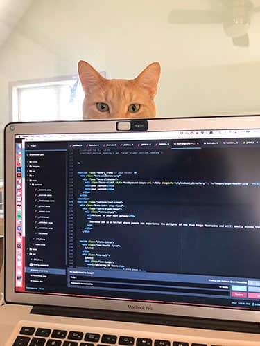The top half of an orange cat peeks out from behind an open laptop and stares at the camera.