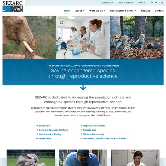 SEZARC homepage screenshot